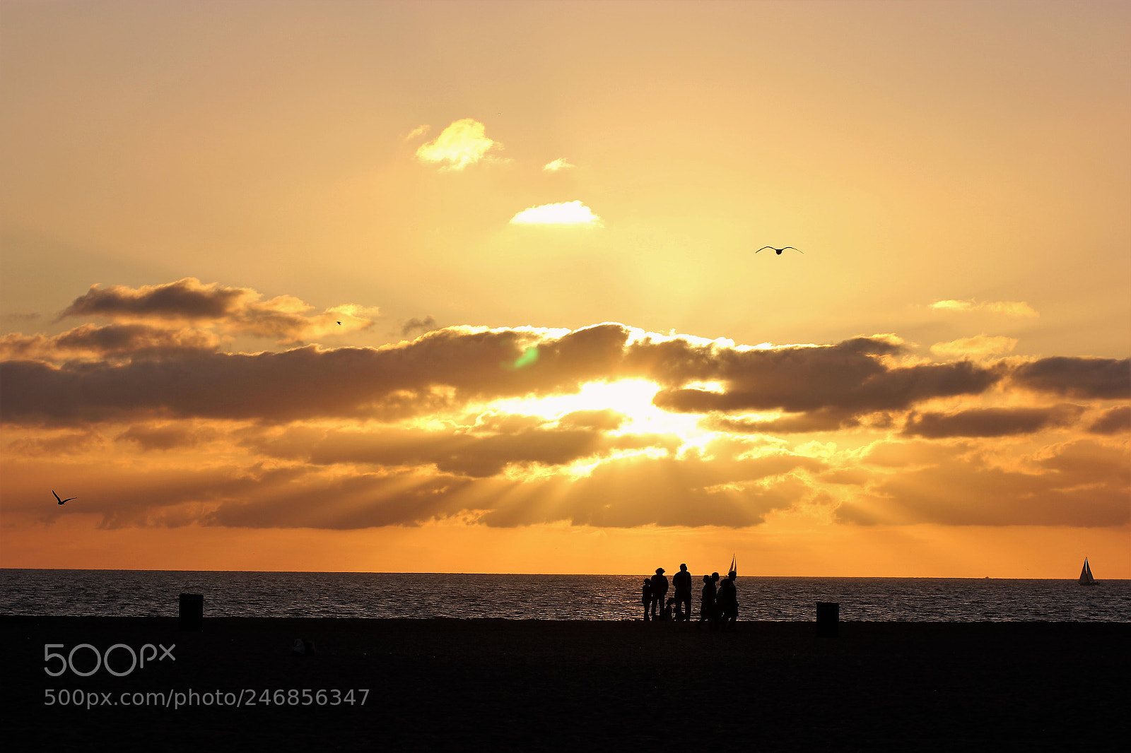 Canon EOS 550D (EOS Rebel T2i / EOS Kiss X4) sample photo. Venice beach sunset photography