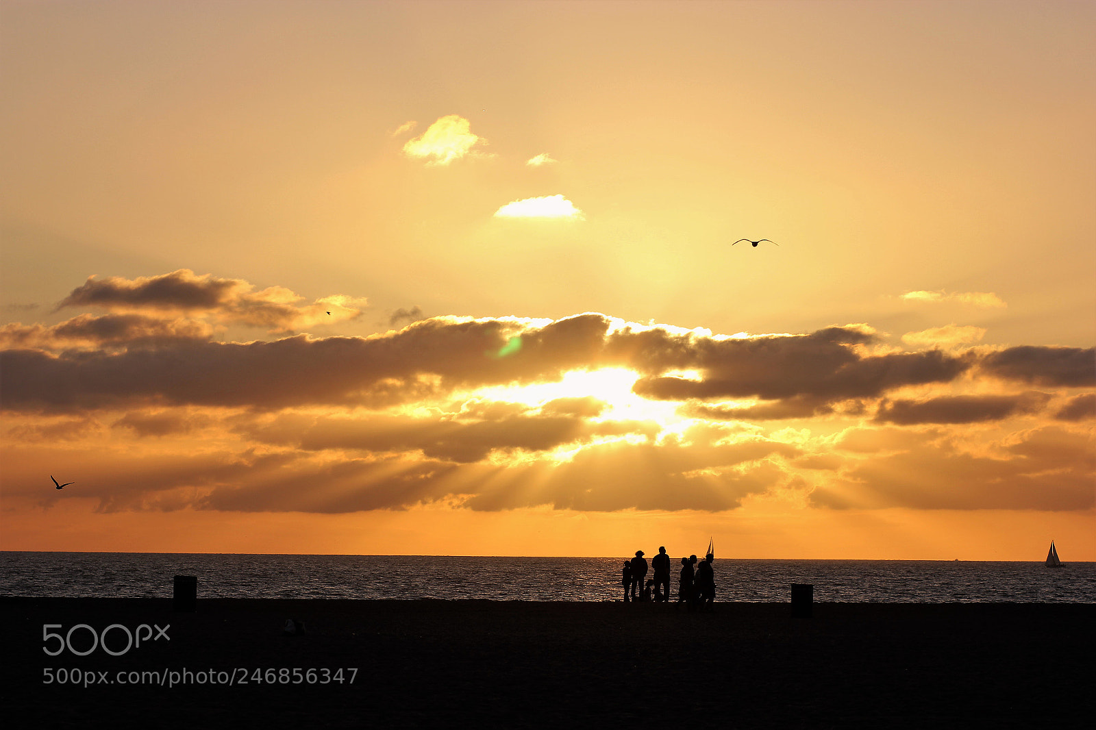 Canon EOS 550D (EOS Rebel T2i / EOS Kiss X4) sample photo. Venice beach sunset photography