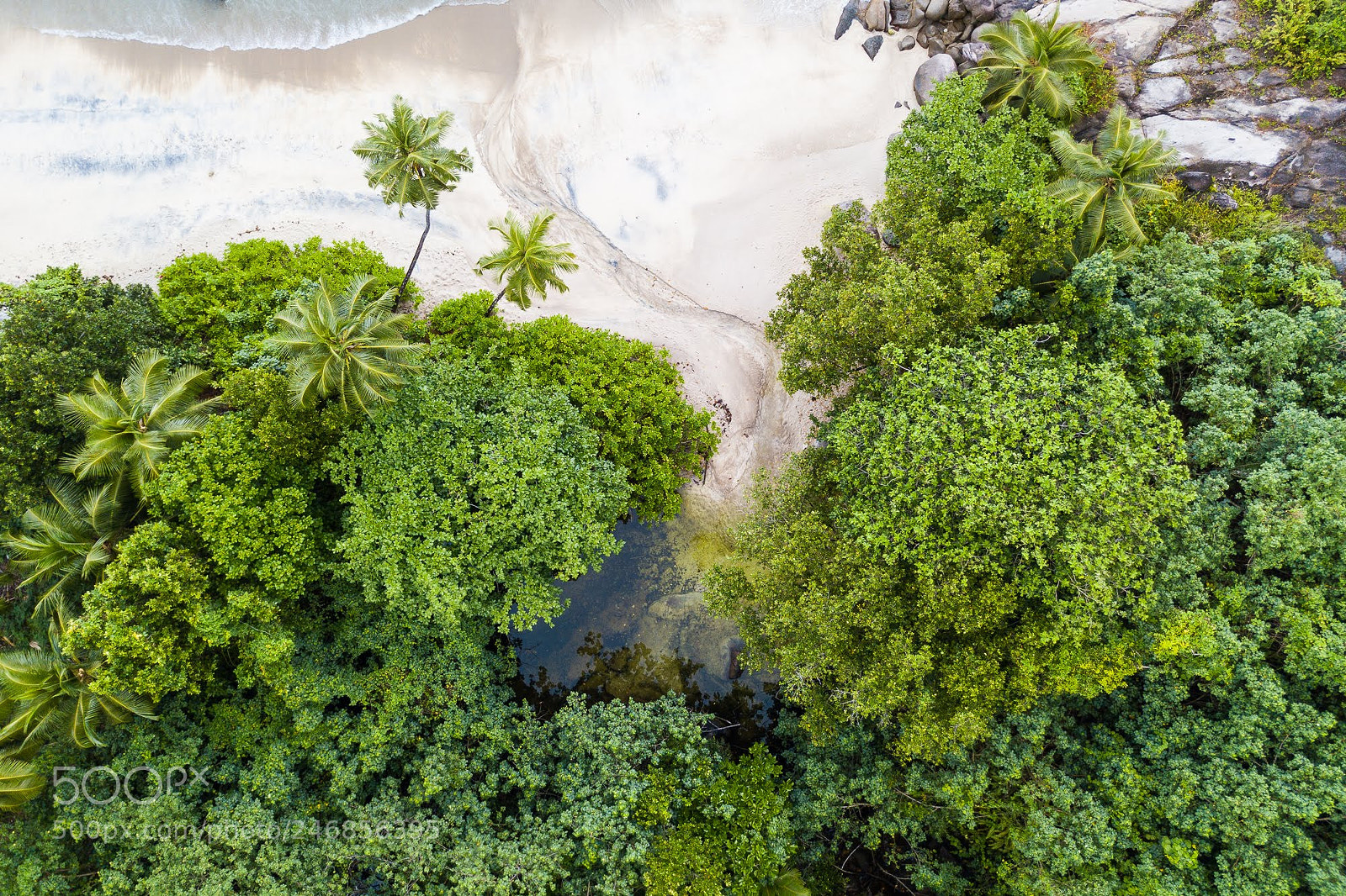 DJI FC220 sample photo. Untitled photography