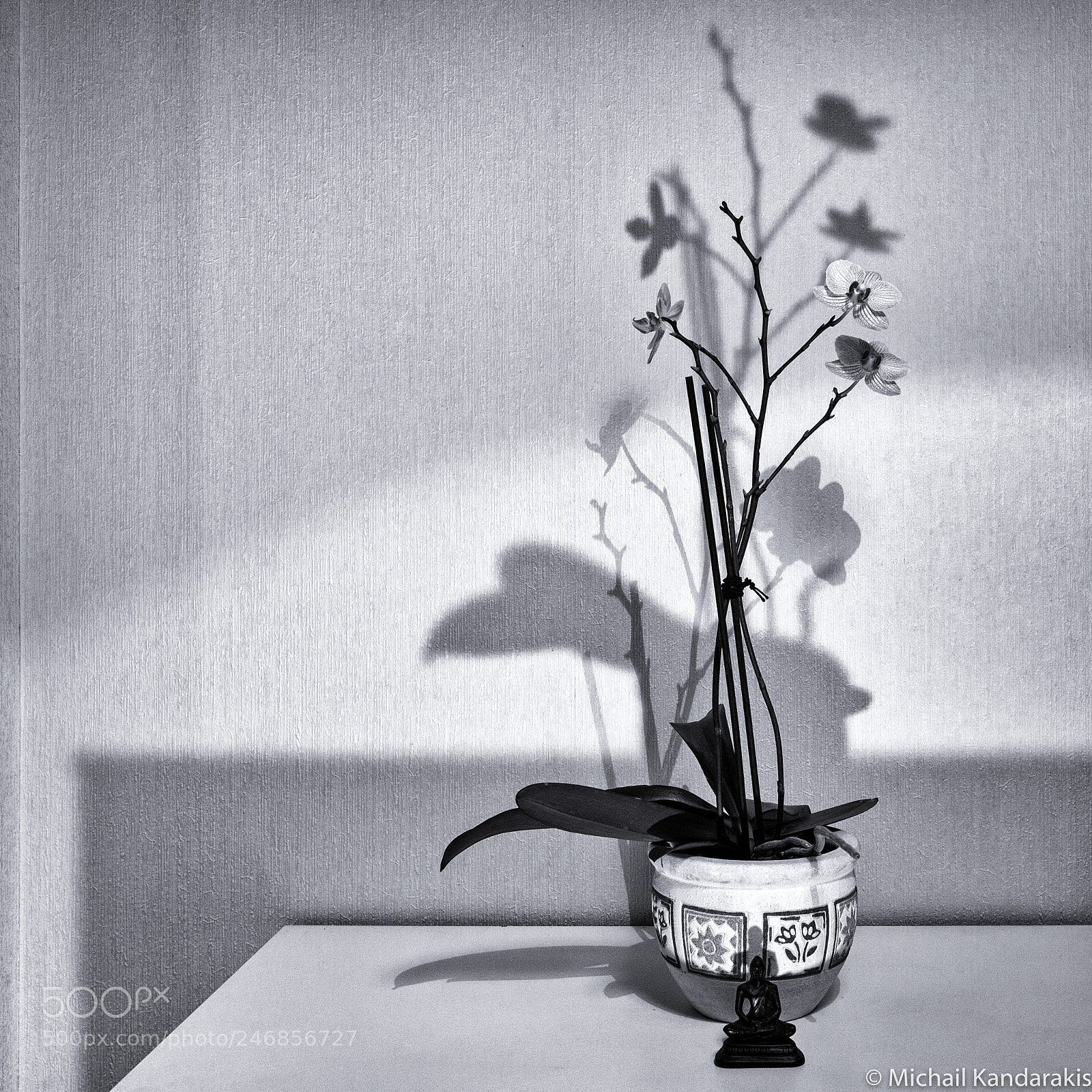 Leica M (Typ 262) sample photo. Edit photography