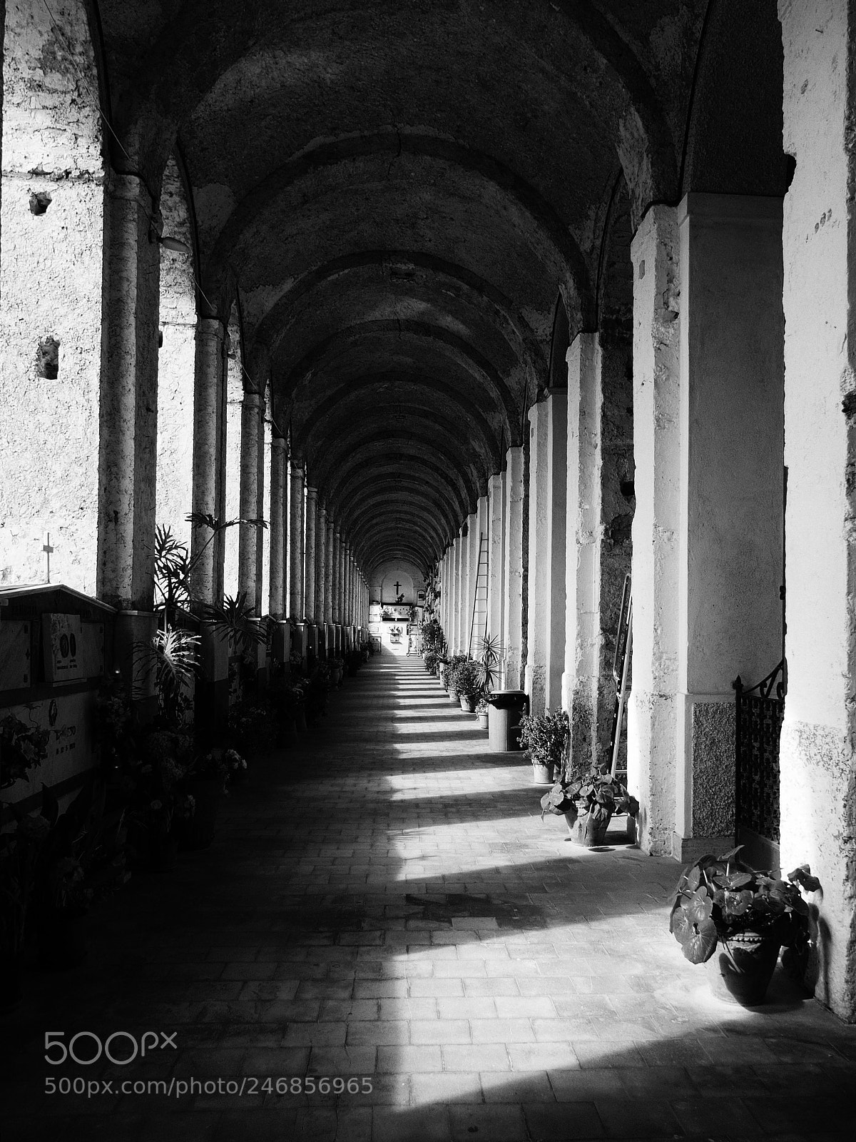 Olympus STYLUS1,1s sample photo. Amalfi monumental cemetary photography