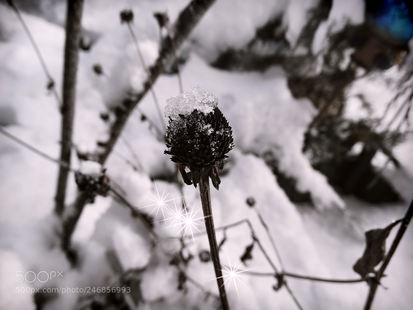 Sony Cyber-shot DSC-HX300 sample photo. Winter abode photography
