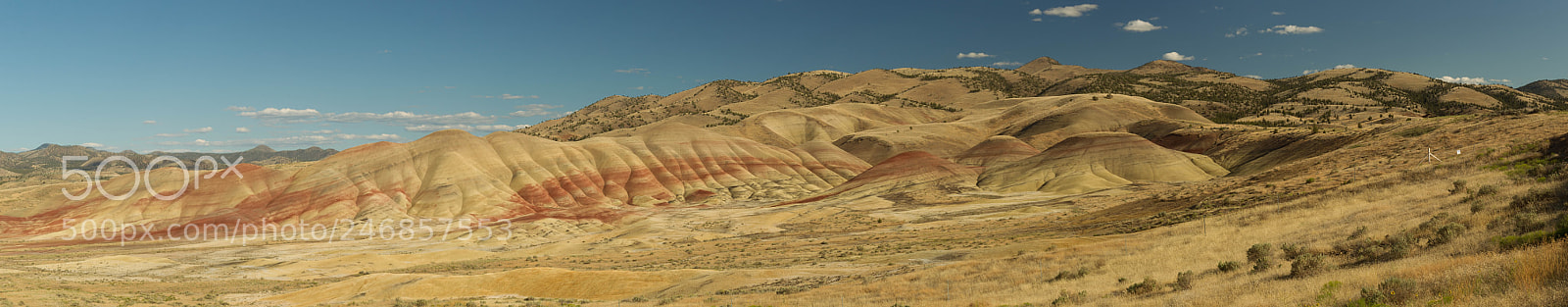 Canon EOS-1D Mark IV sample photo. Painted hills, oregon photography