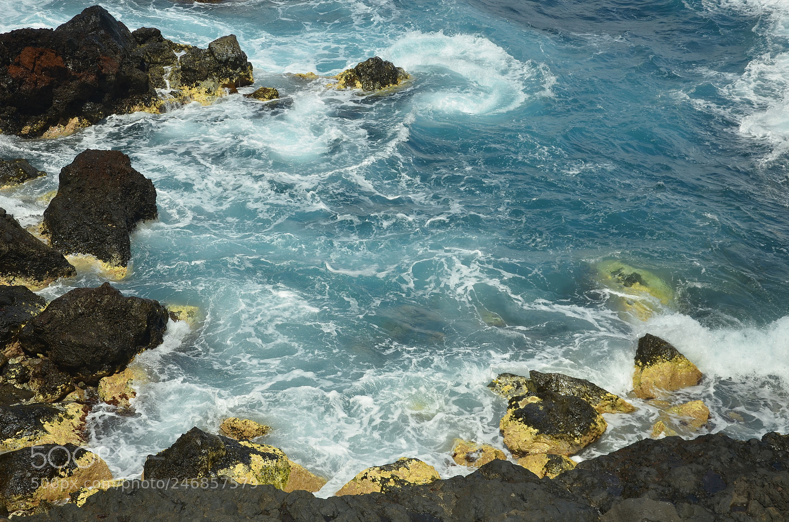 Nikon D5100 sample photo. Framed photography