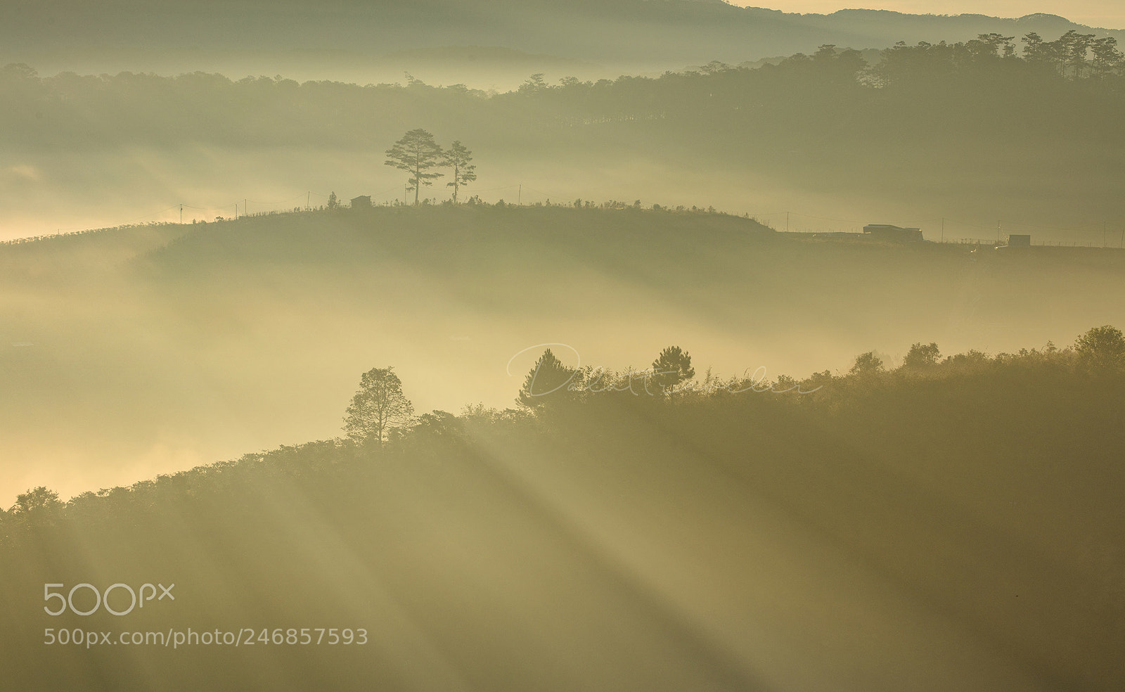 Canon EOS 5DS R sample photo. Da nhim hill photography