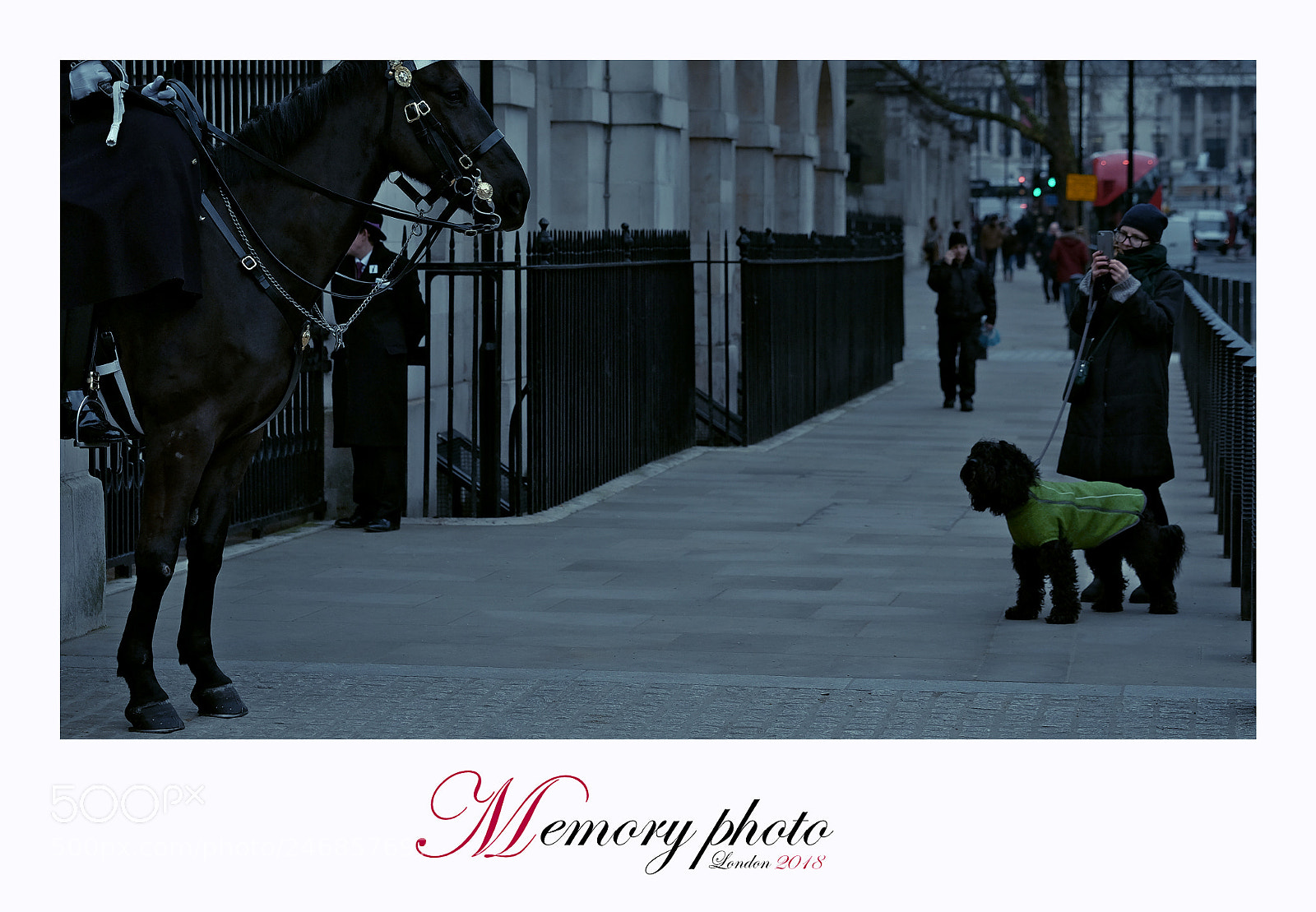 Fujifilm X-T1 sample photo. Memory photo photography