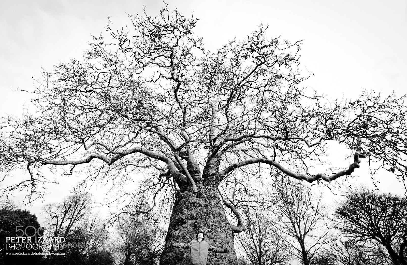 Fujifilm X-T1 sample photo. Tree photography