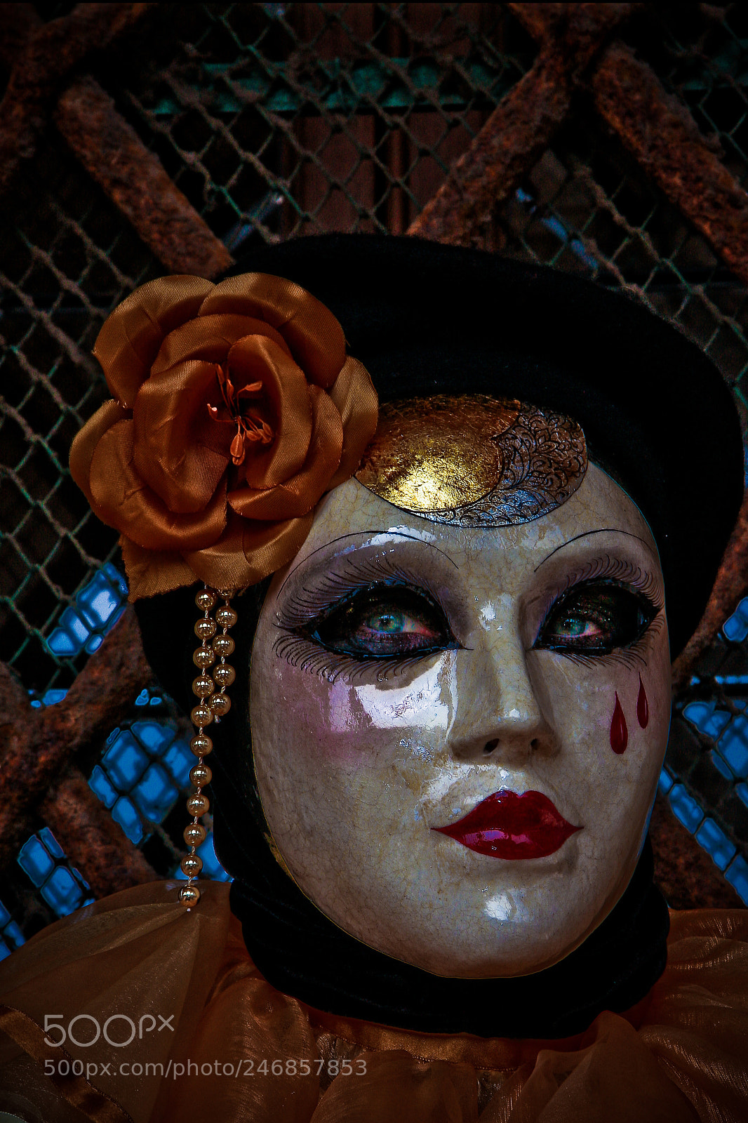 Canon EOS 40D sample photo. Img photography