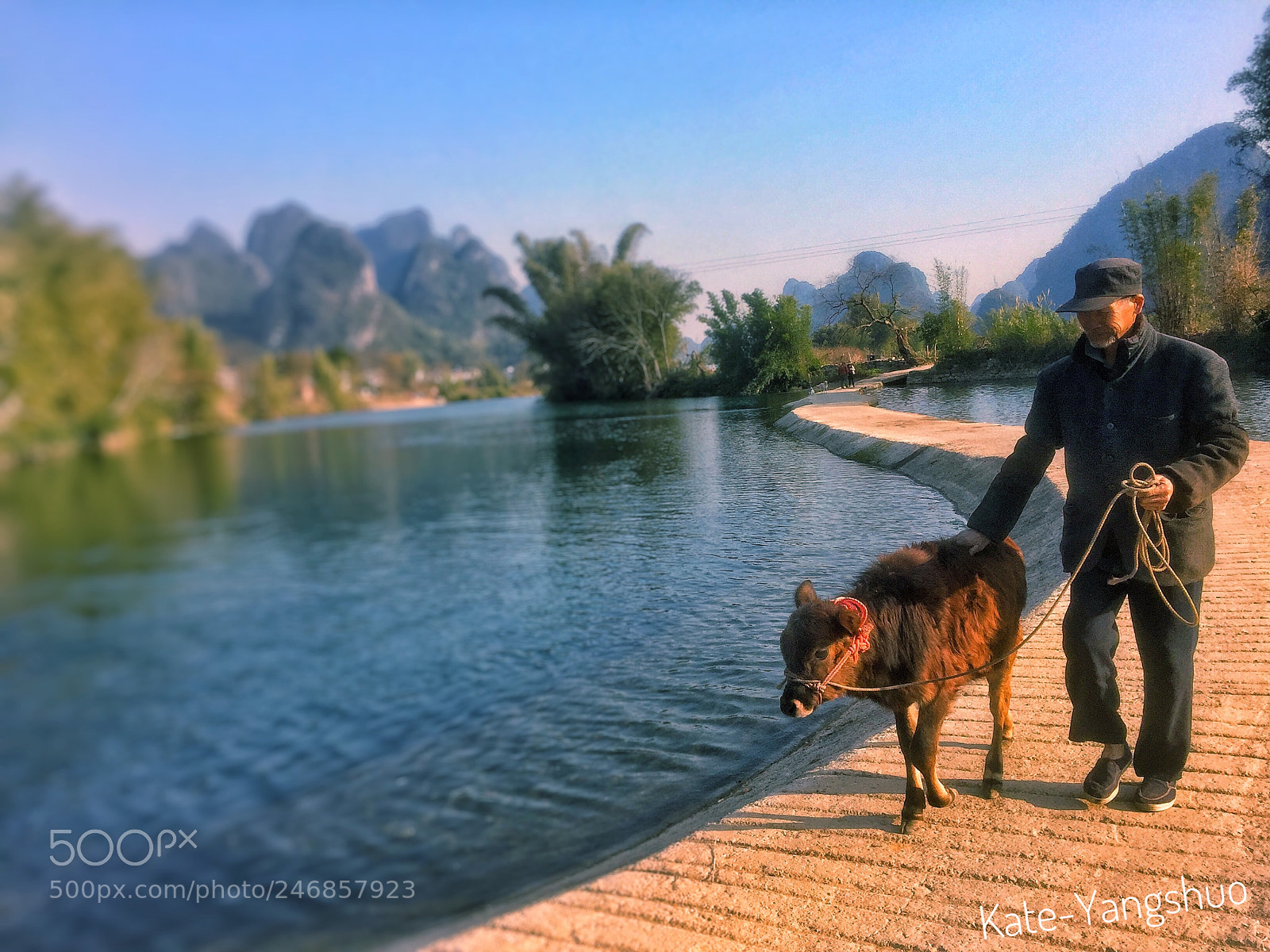 Apple iPhone 6 sample photo. Life of yangshuo  photography