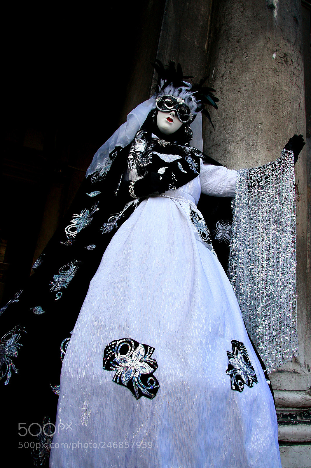Canon EOS 40D sample photo. Img photography