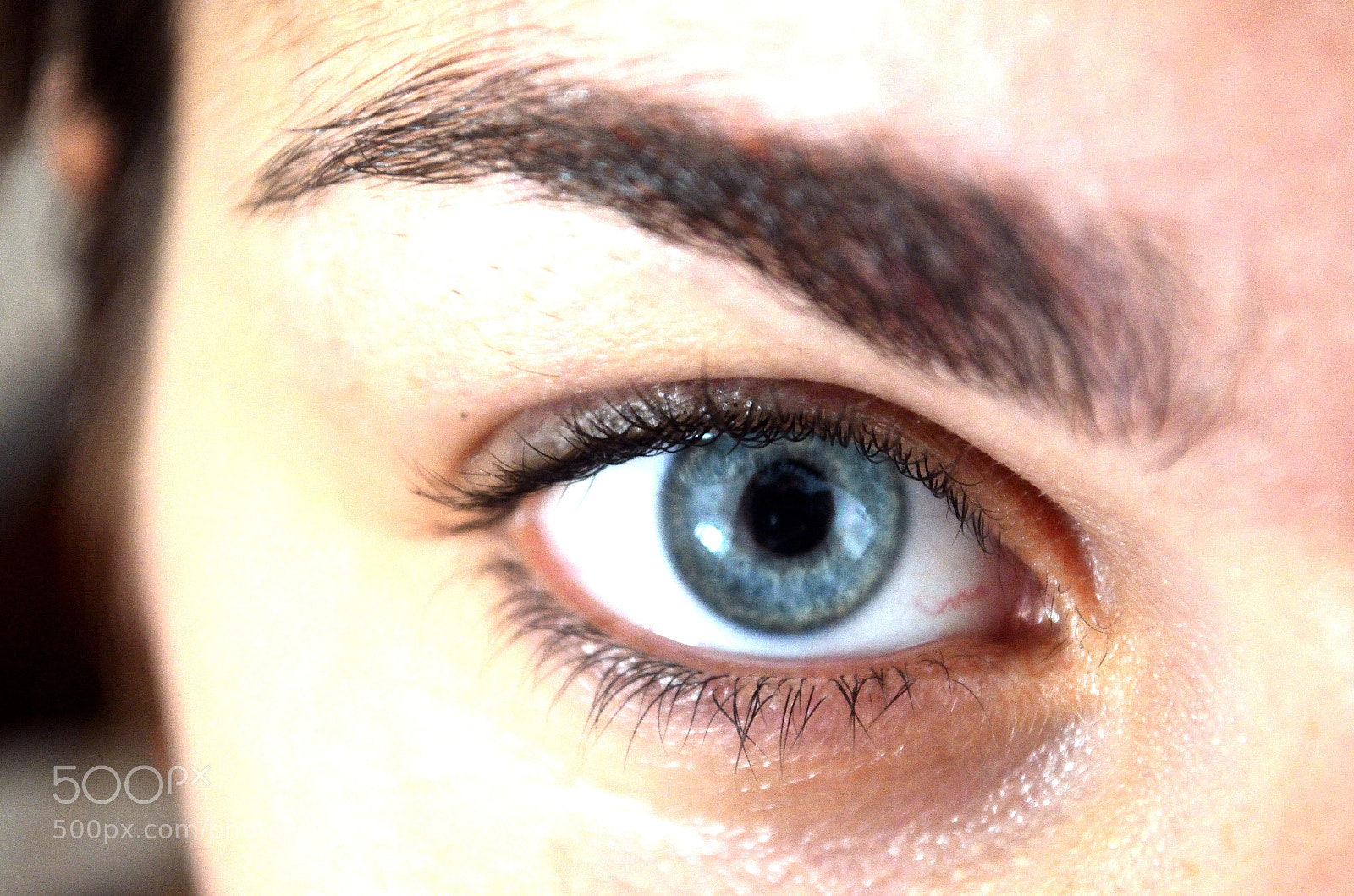 Nikon D5100 sample photo. Untitled photography