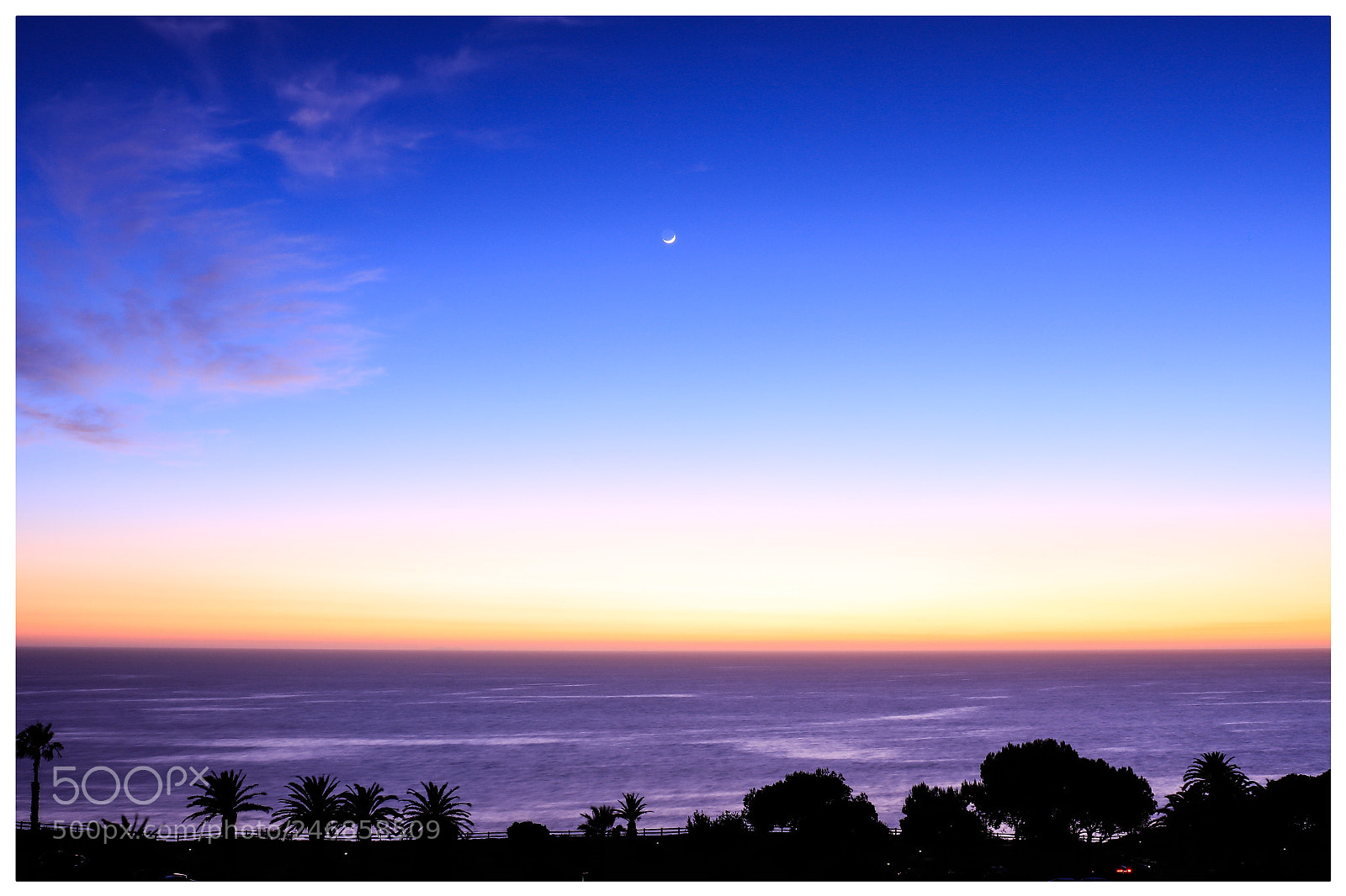 Canon EOS 5DS R sample photo. Honeysuckle sunset photography