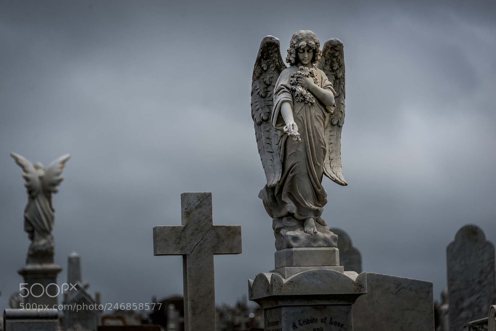 Nikon D610 sample photo. Angel photography
