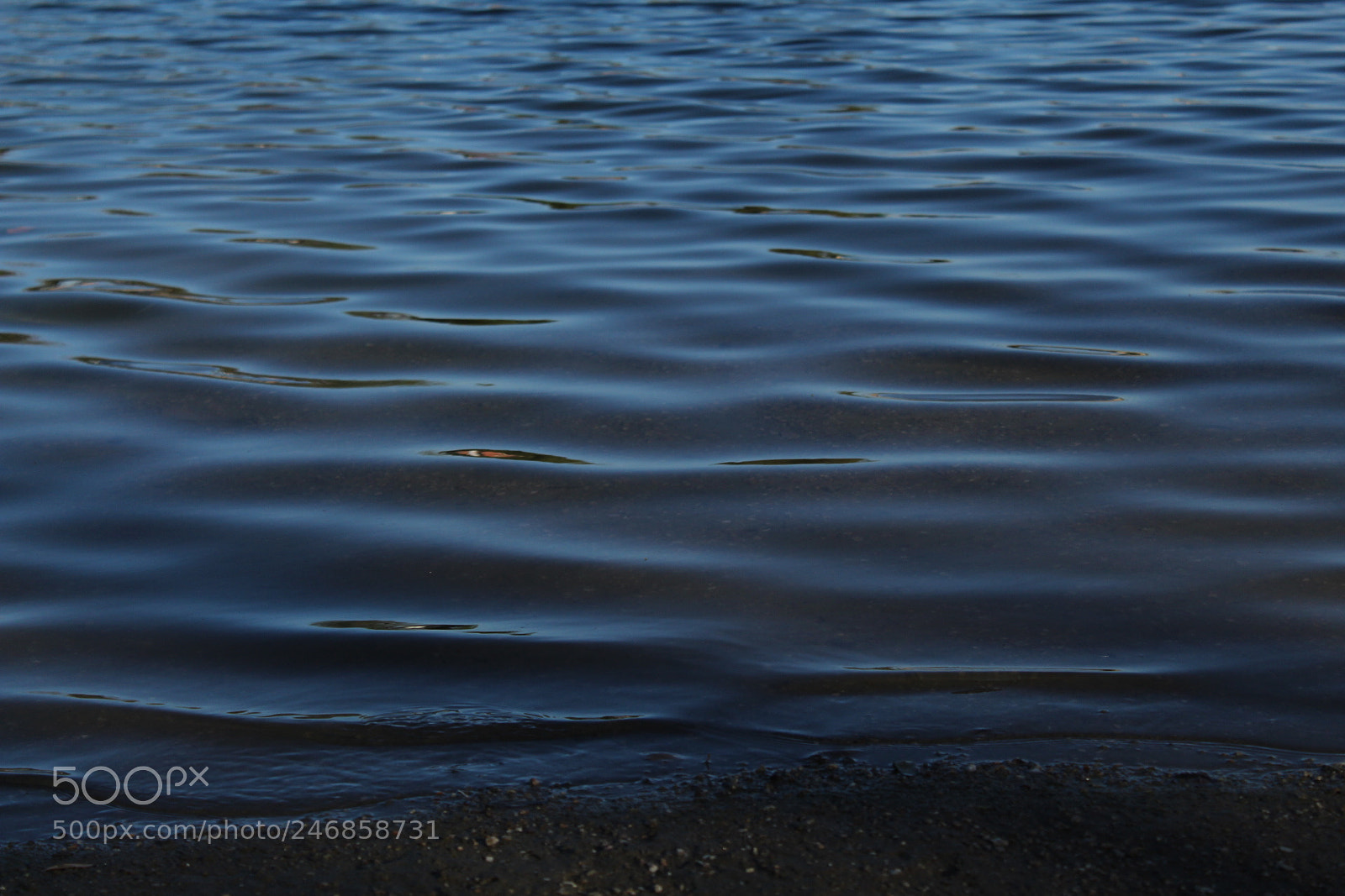 Canon EOS 1300D (EOS Rebel T6 / EOS Kiss X80) sample photo. Peaceful water ripples! photography