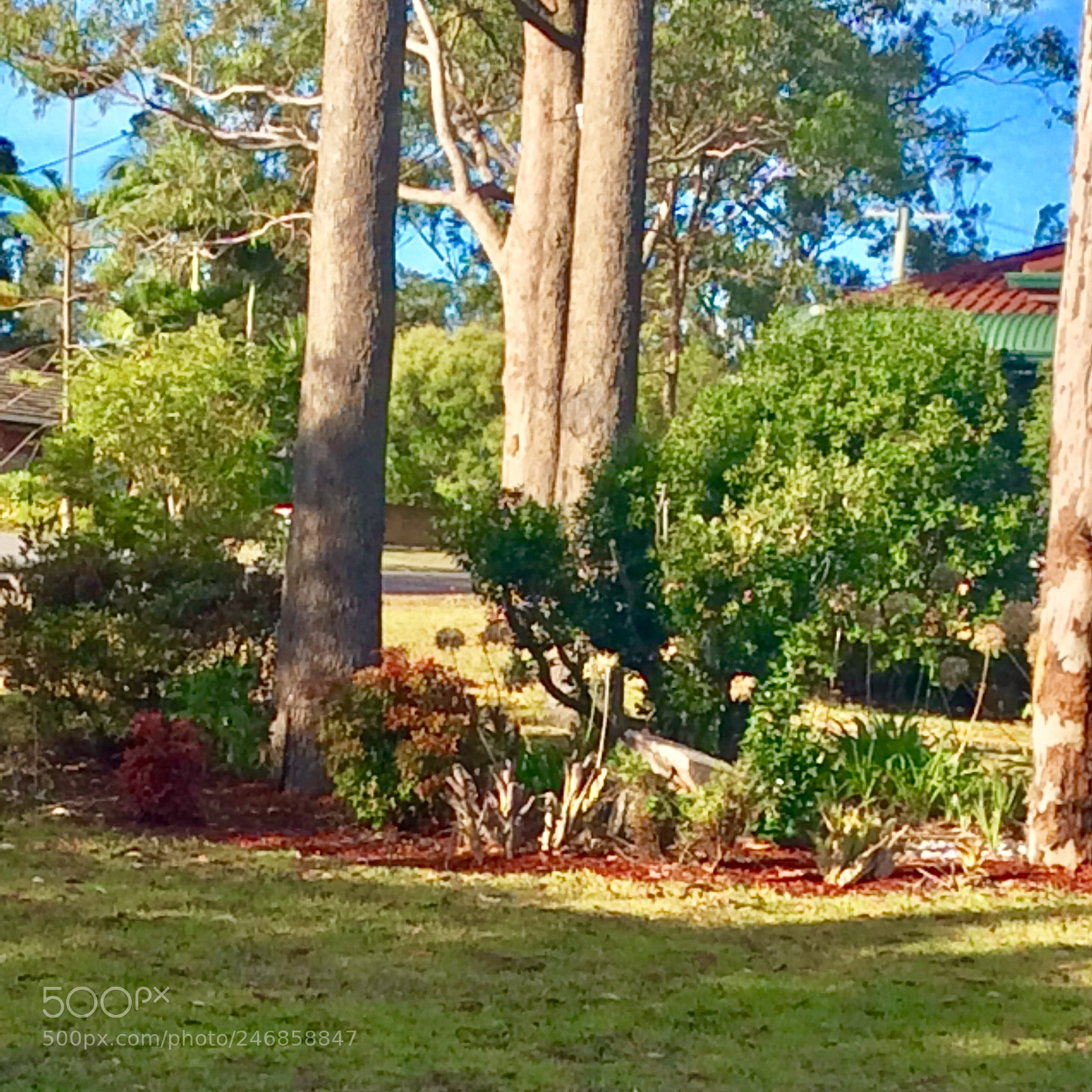Apple iPad mini 2 sample photo. Untitled photography