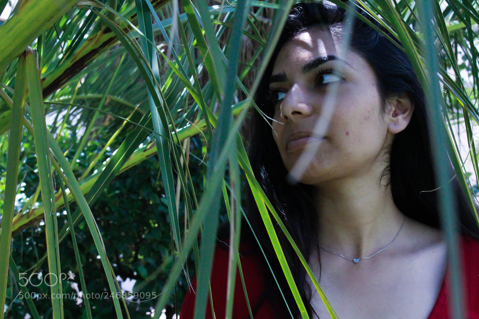 Canon EOS 700D (EOS Rebel T5i / EOS Kiss X7i) sample photo. Stay positive 3 photography