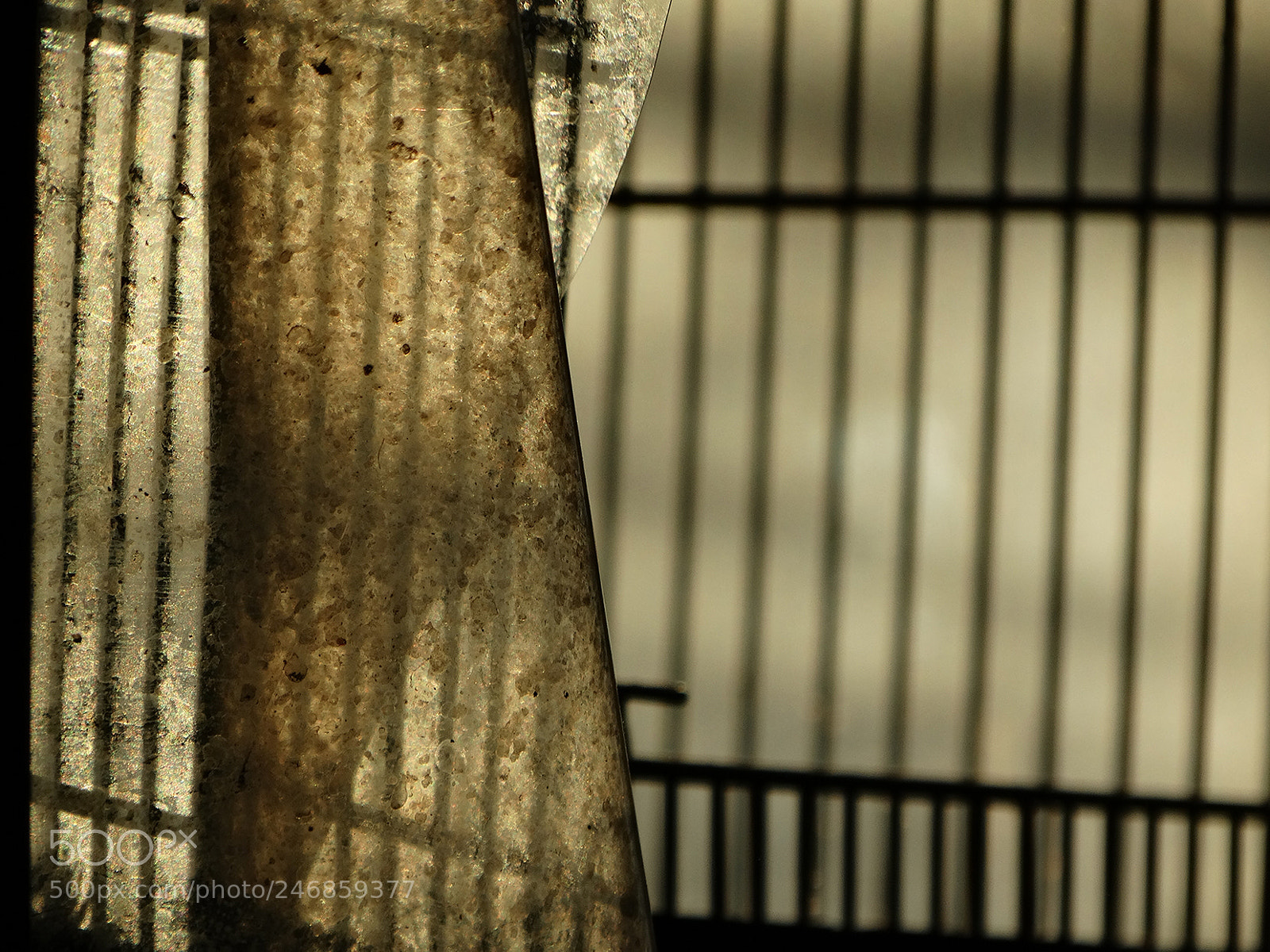Sony Cyber-shot DSC-HX300 sample photo. Stage fright photography