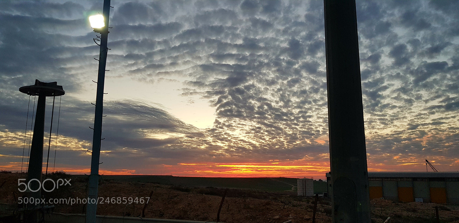 Samsung Galaxy S8+ sample photo. Untitled photography