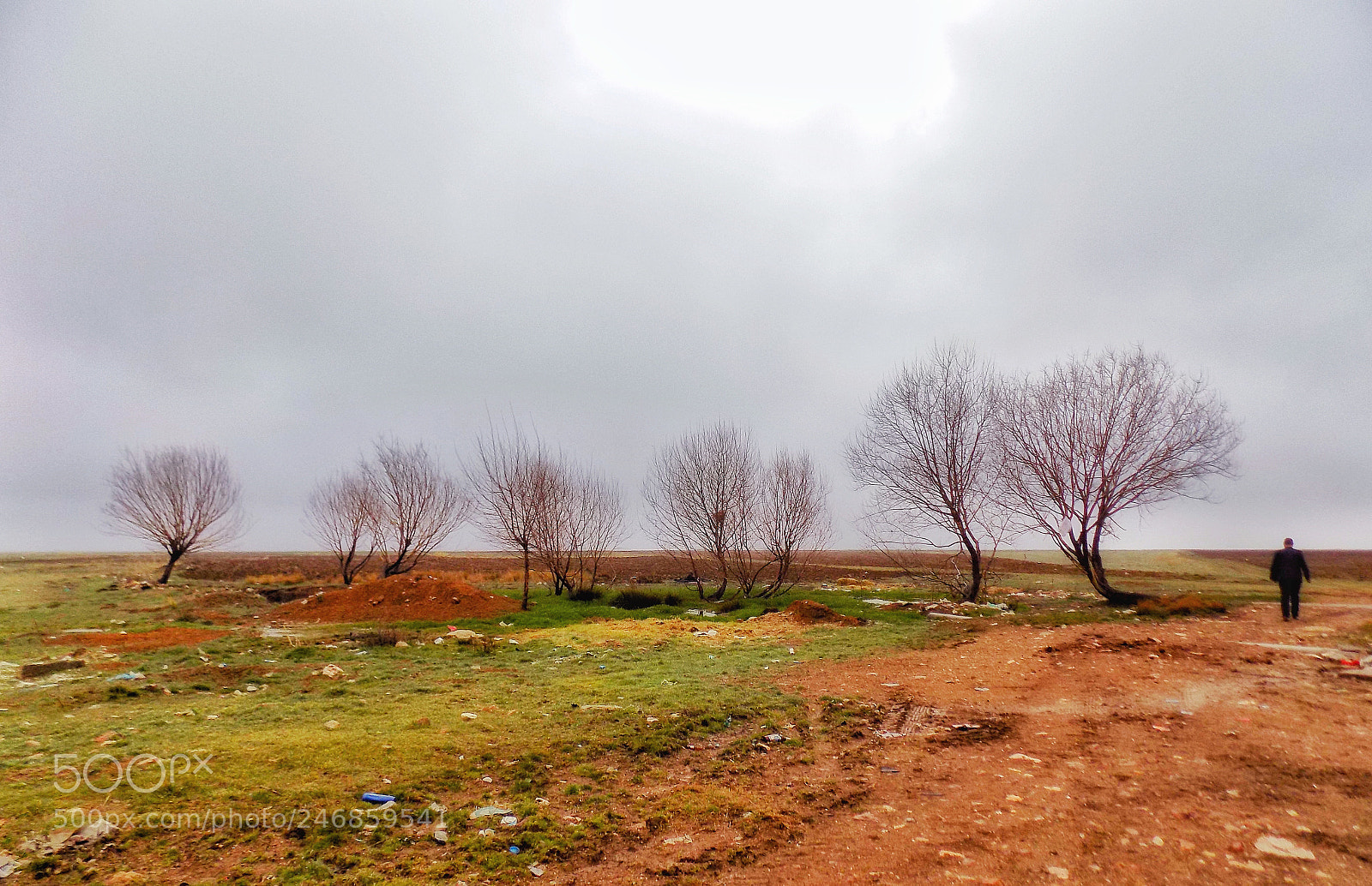 Nikon COOLPIX L340 sample photo. İdle man... photography