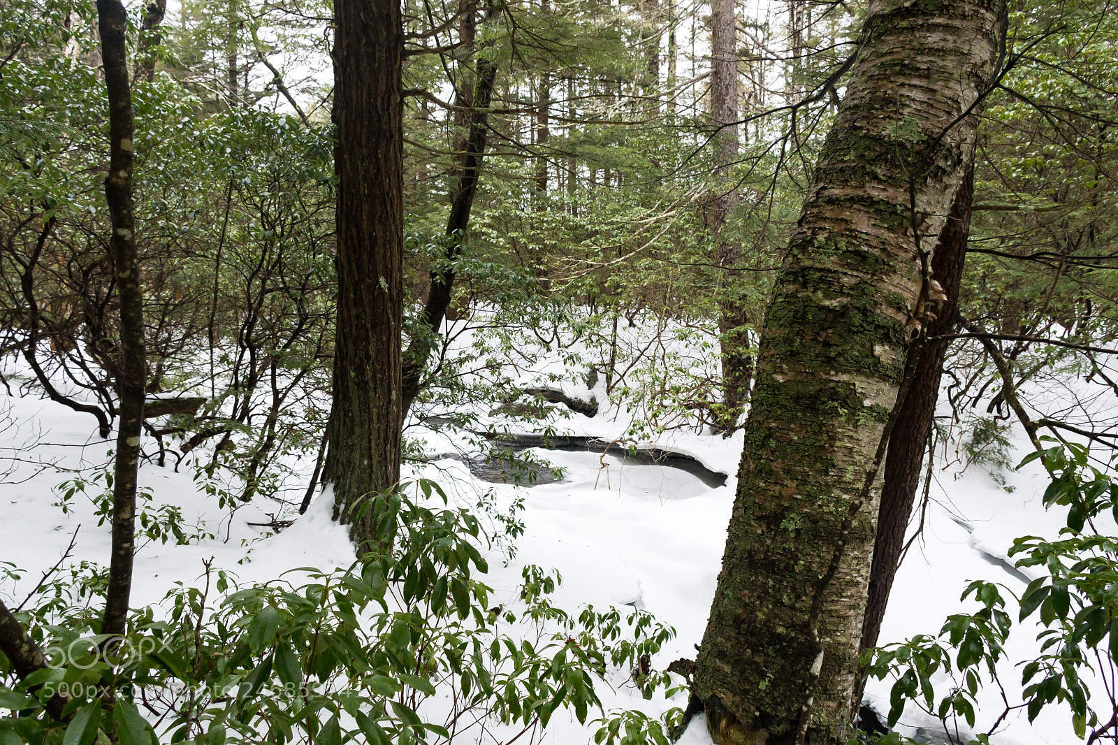 Nikon D500 sample photo. My destination photography