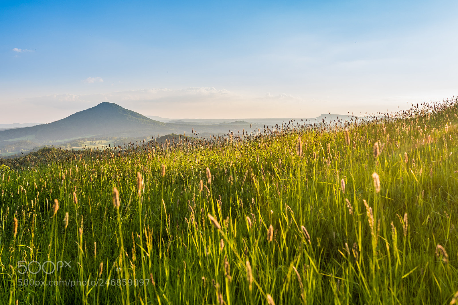 Nikon D500 sample photo. Idyll photography