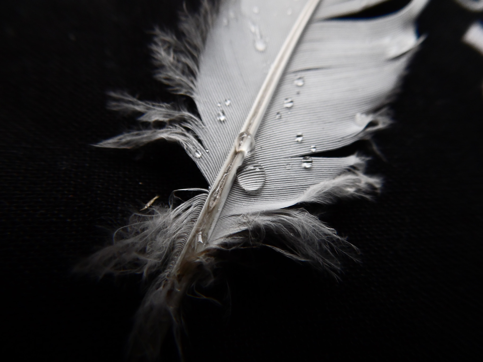 Samsung WB100/  WB101 sample photo. Drop photography