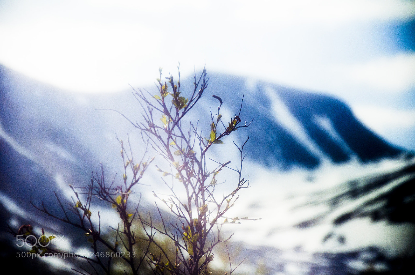 Nikon D90 sample photo. Untitled photography