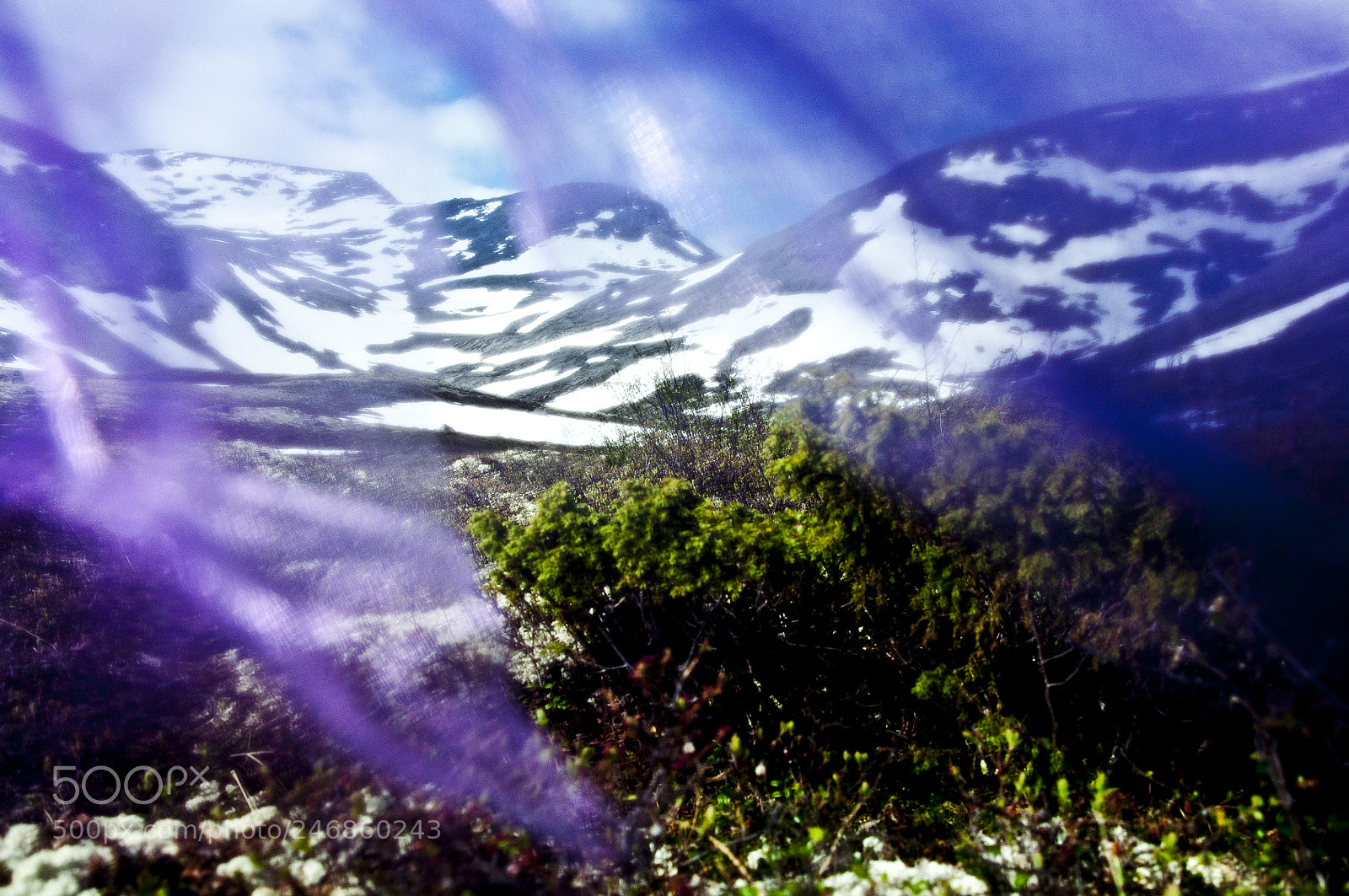 Nikon D90 sample photo. Purple+mountain+sun photography