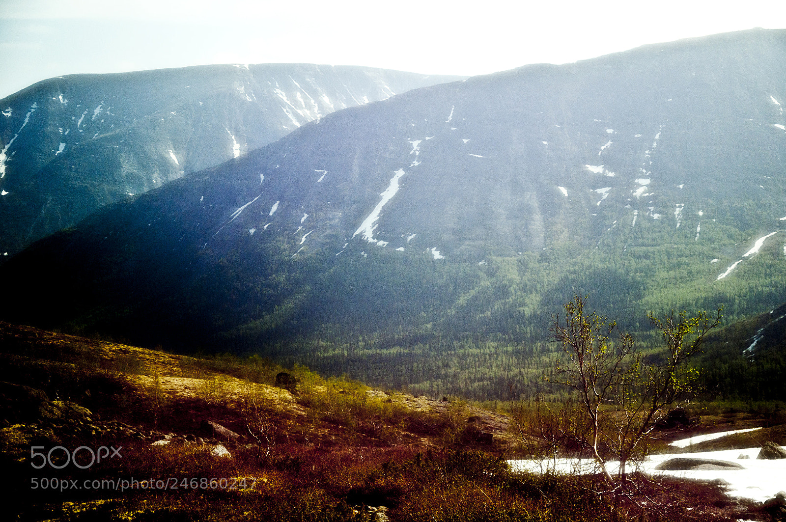 Nikon D90 sample photo. Untitled photography