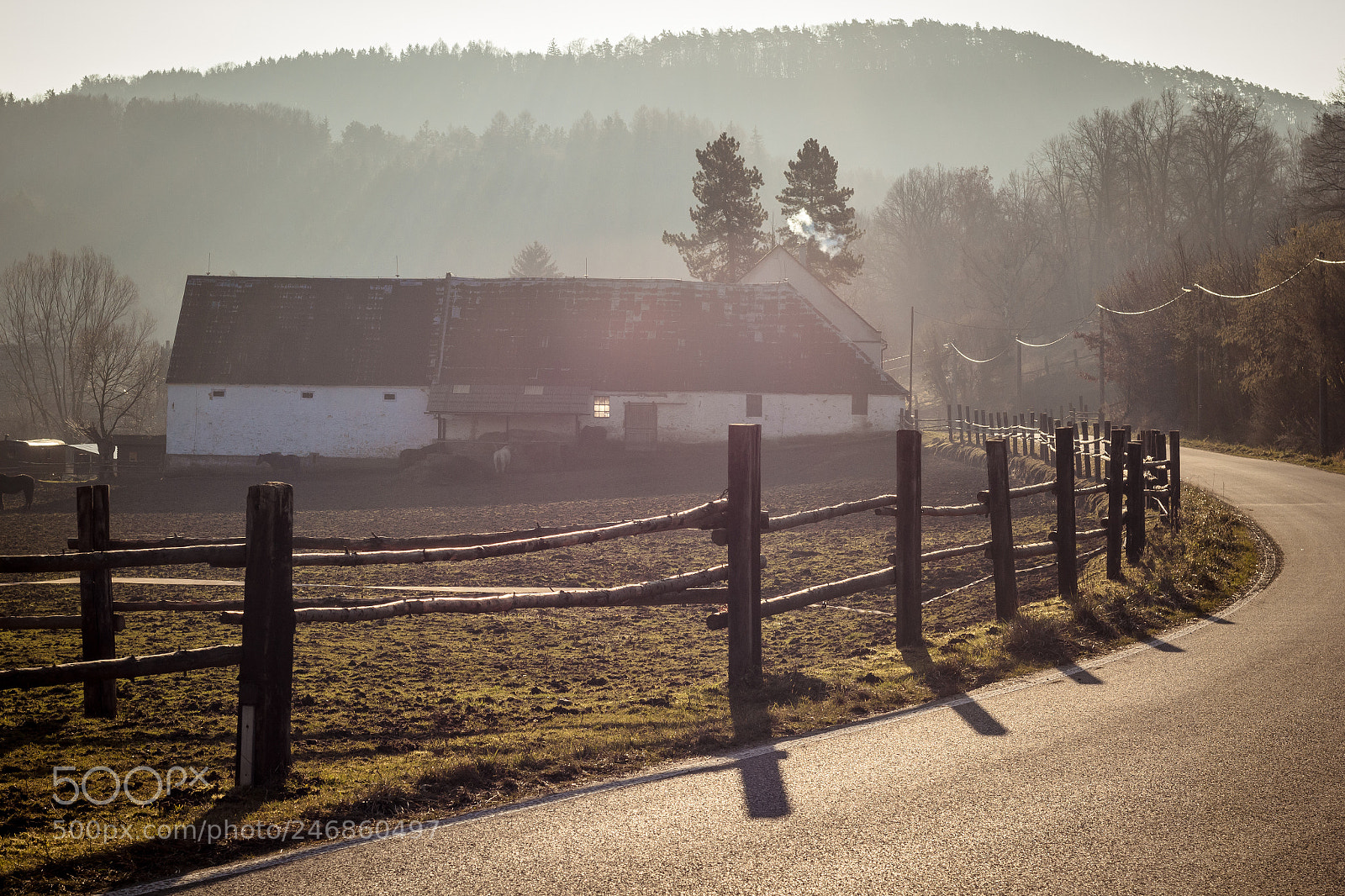Canon EOS 60D sample photo. Morning sun photography