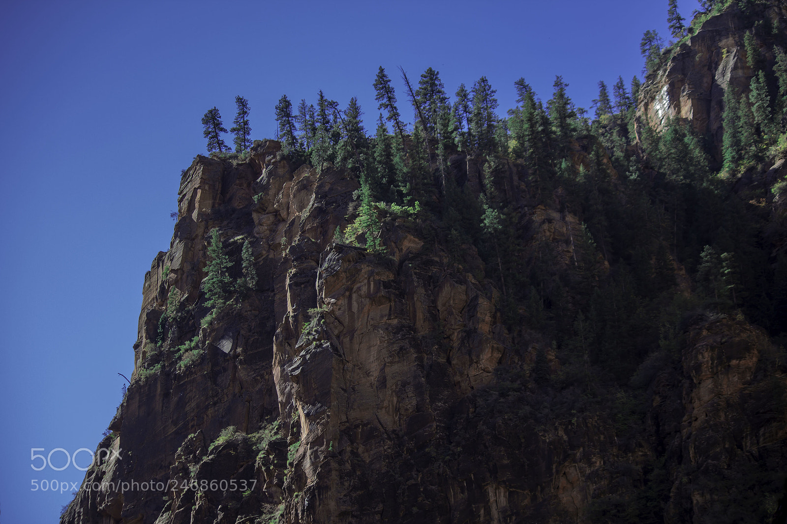 Canon EOS 60D sample photo. Zion rocks photography