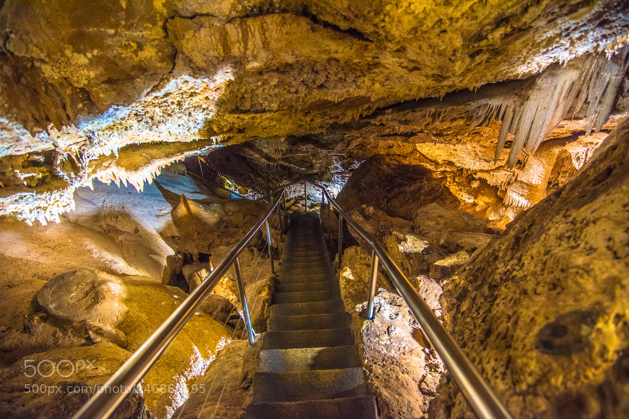 Nikon D810 sample photo. Jenolan cves photography