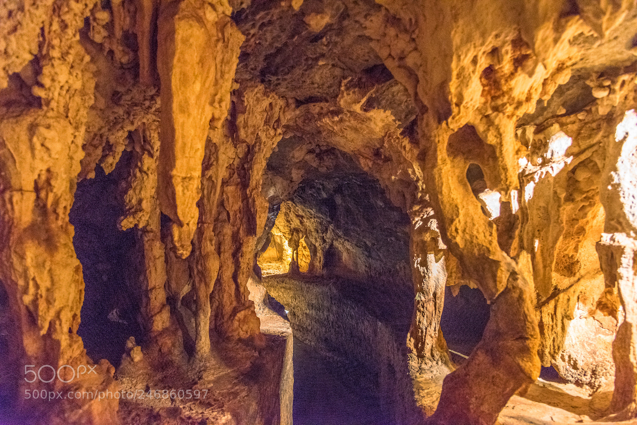 Nikon D810 sample photo. Jenolan cves photography