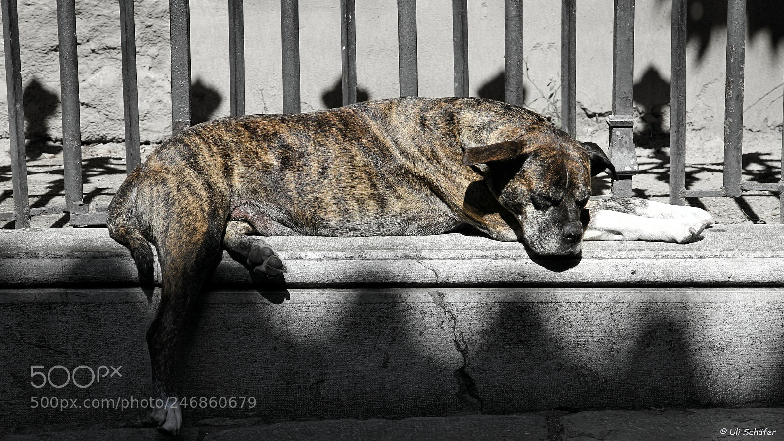 Canon EOS 7D sample photo. " sunplace " photography