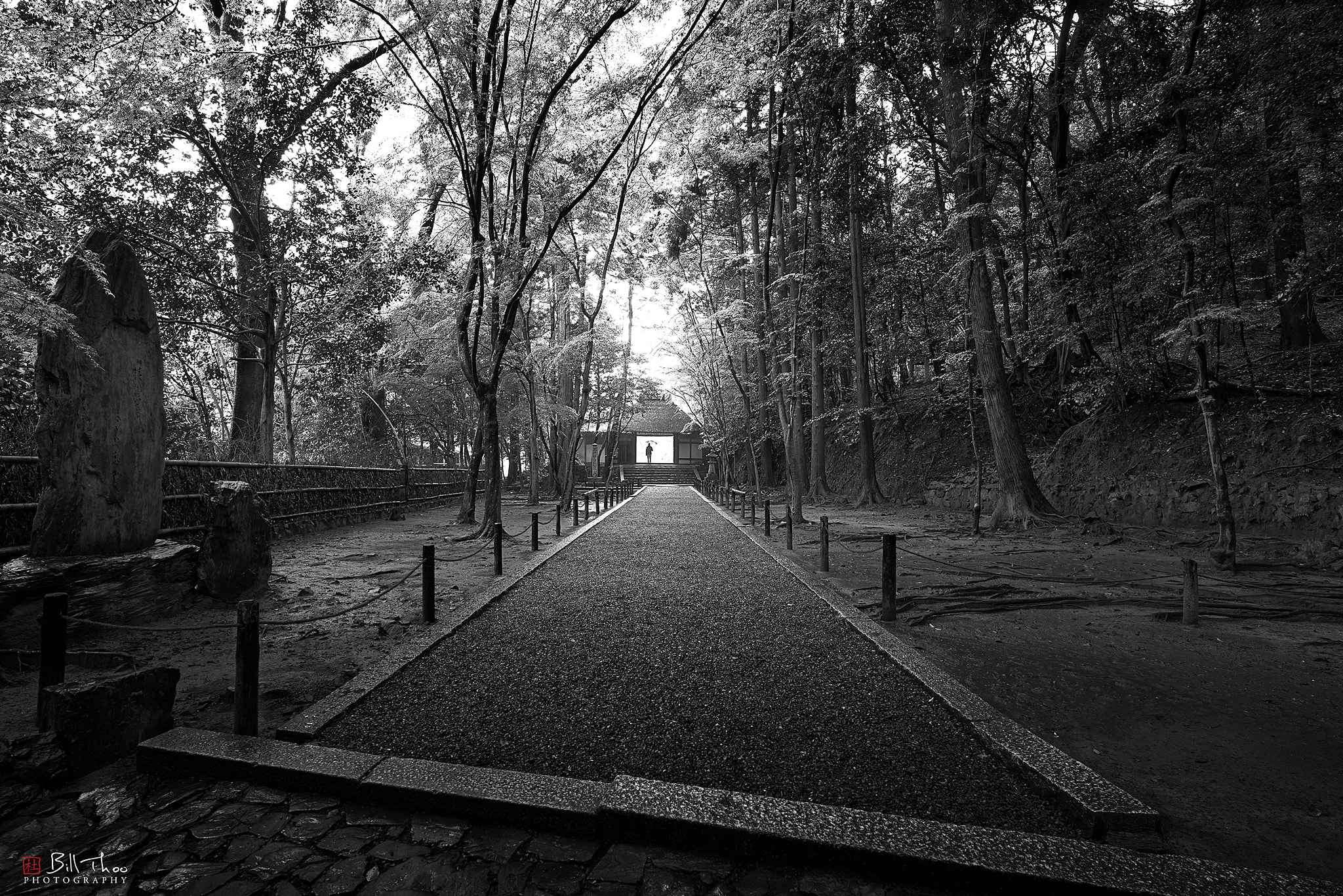 ZEISS Batis 18mm F2.8 sample photo. Honen-in photography