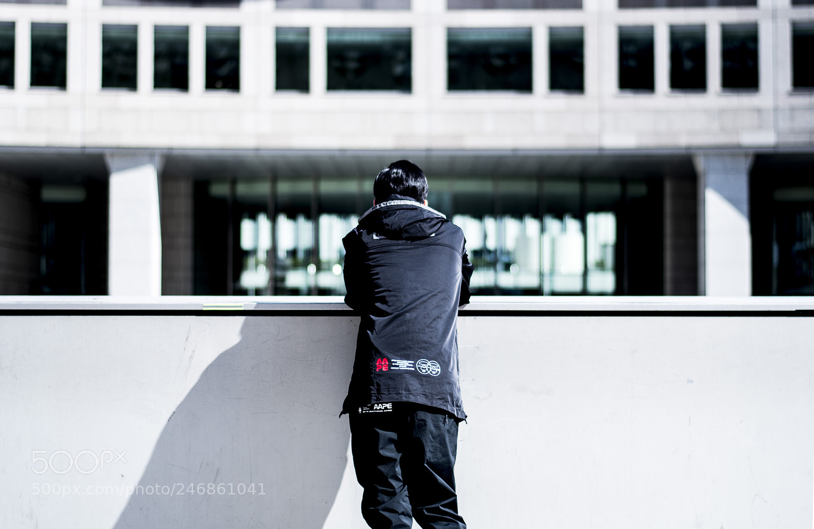 Nikon D7500 sample photo. Aape by a bathing photography