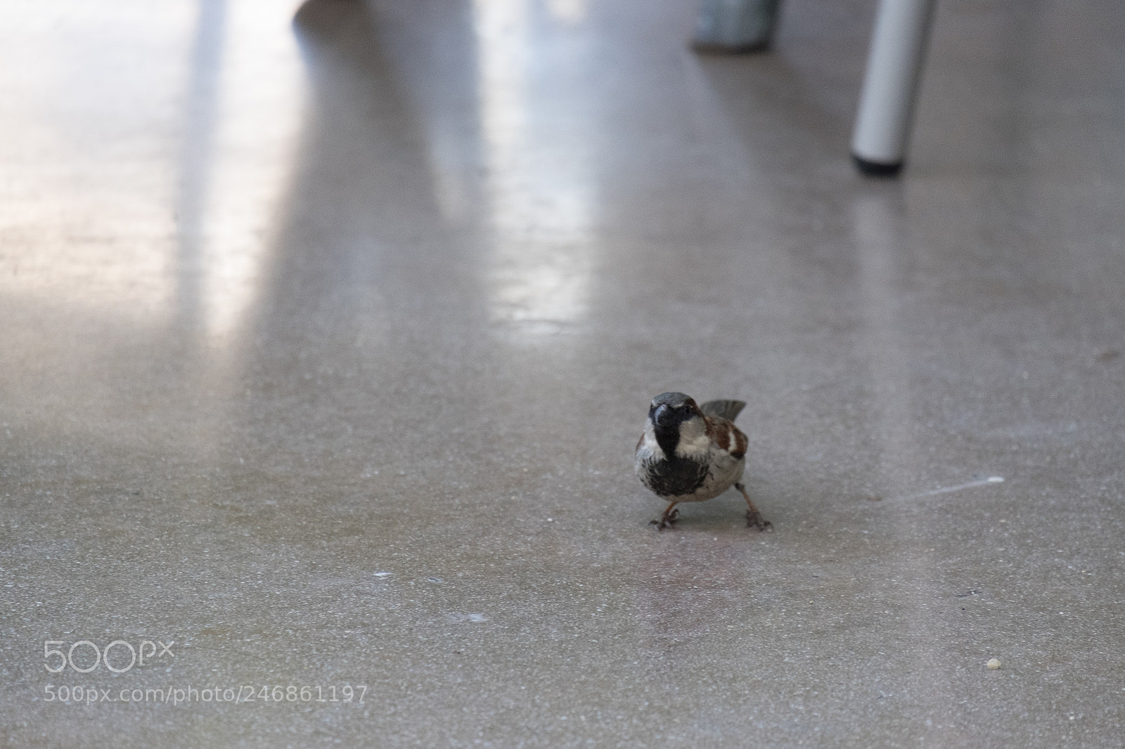 Fujifilm X-T10 sample photo. Untitled photography