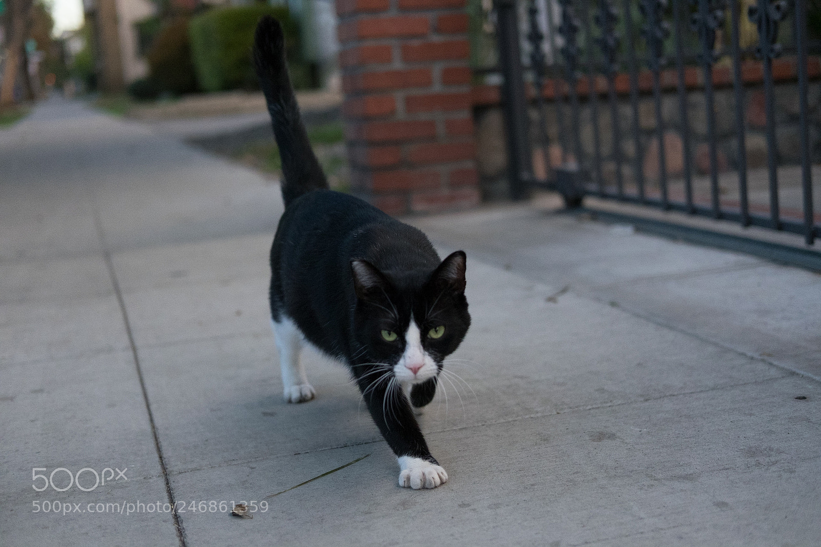 Fujifilm X-T10 sample photo. Untitled photography