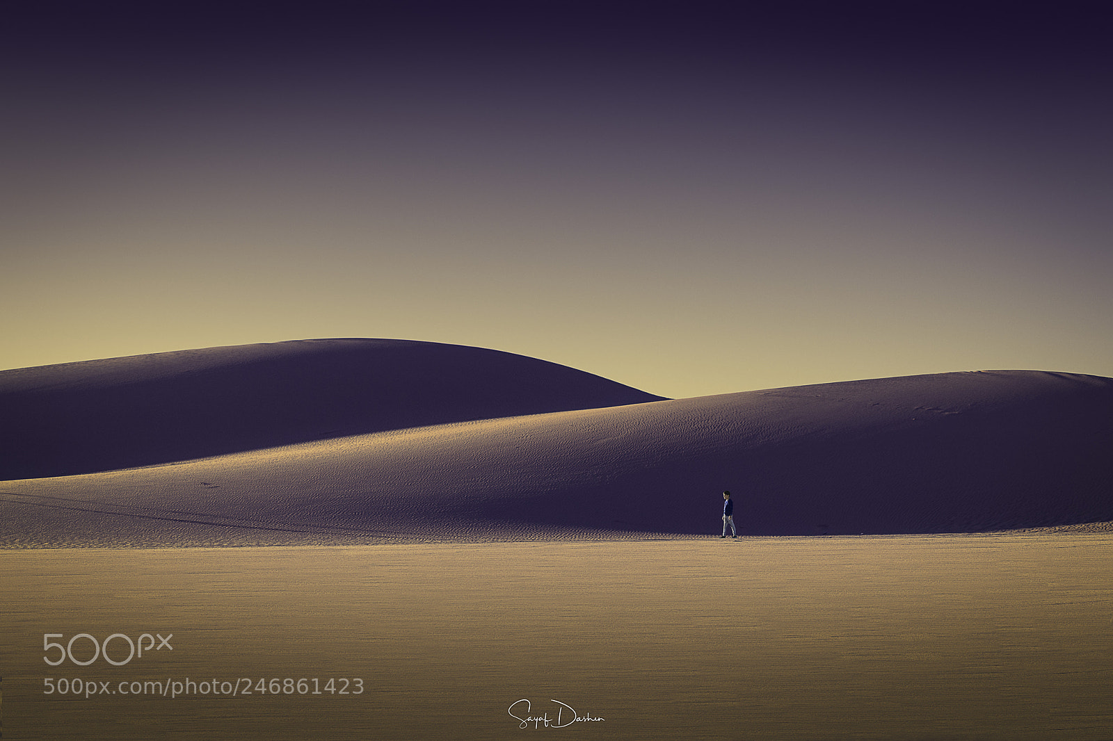 Nikon D850 sample photo. Dunes photography