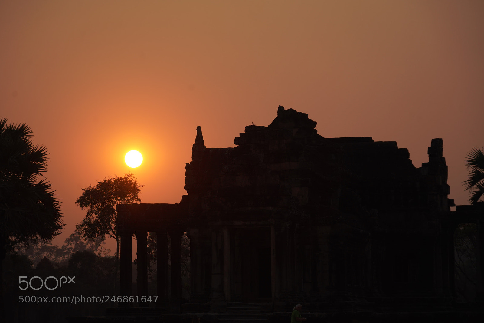 Sony a7R III sample photo. Dsc photography