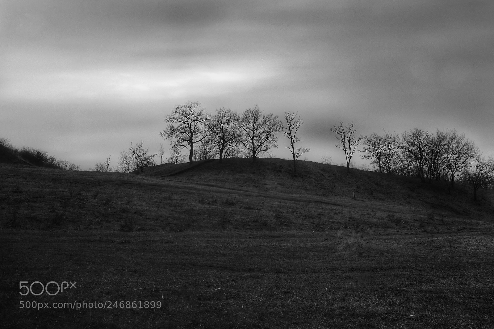Canon EOS 760D (EOS Rebel T6s / EOS 8000D) sample photo. Winter landscape photography