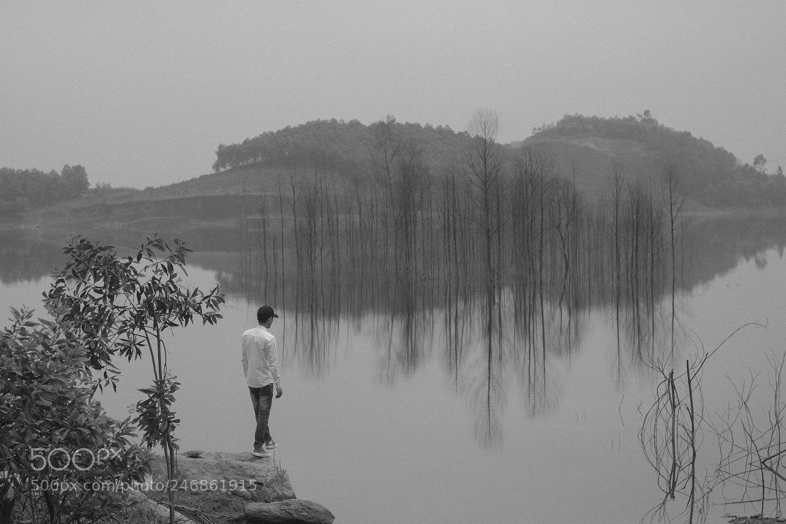 Canon EOS 50D sample photo. Along to with alone photography