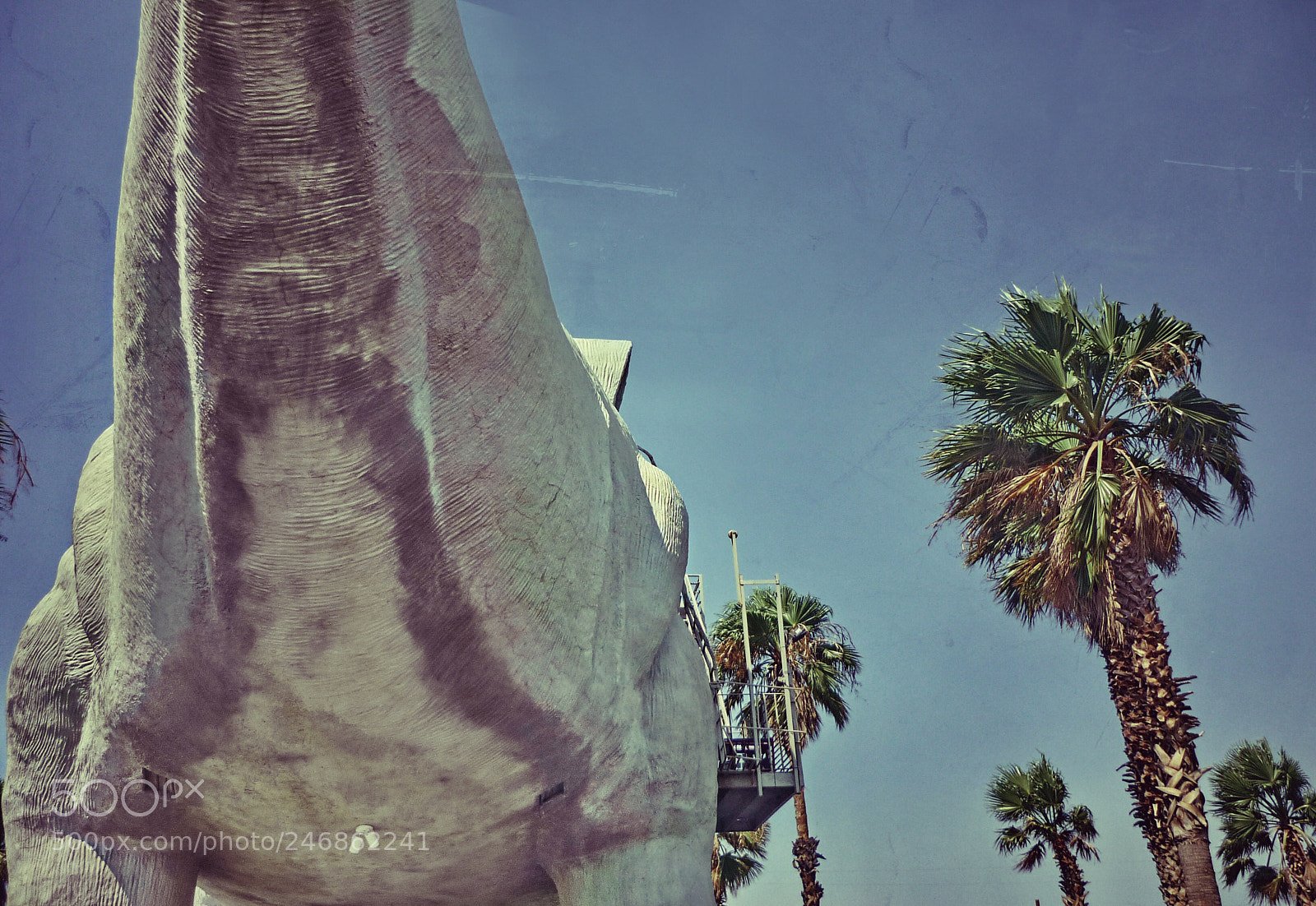 Panasonic Lumix DMC-FS6 sample photo. Palm spring photography