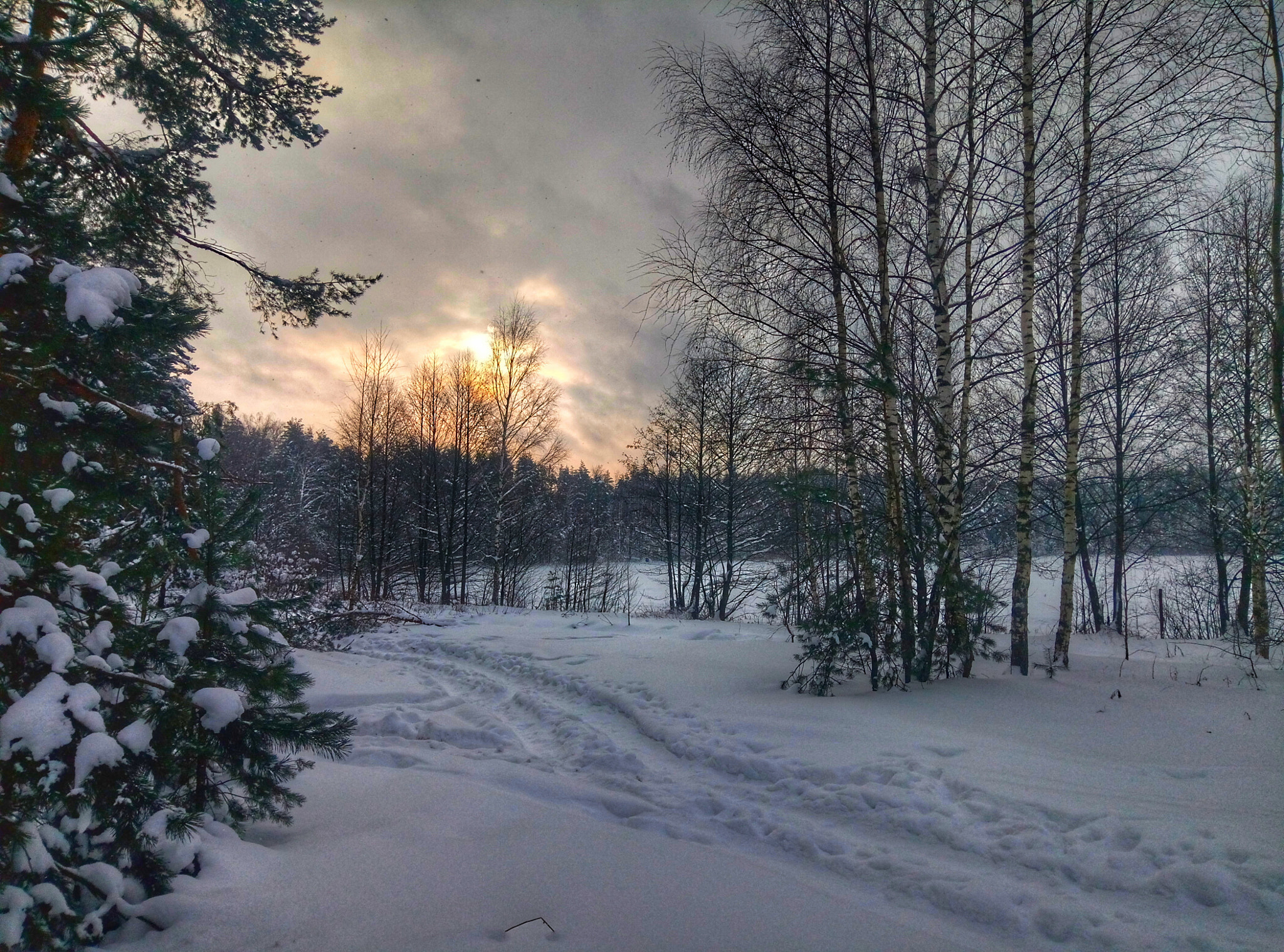 Meizu M3s sample photo. Mob5 winter sunrise photography