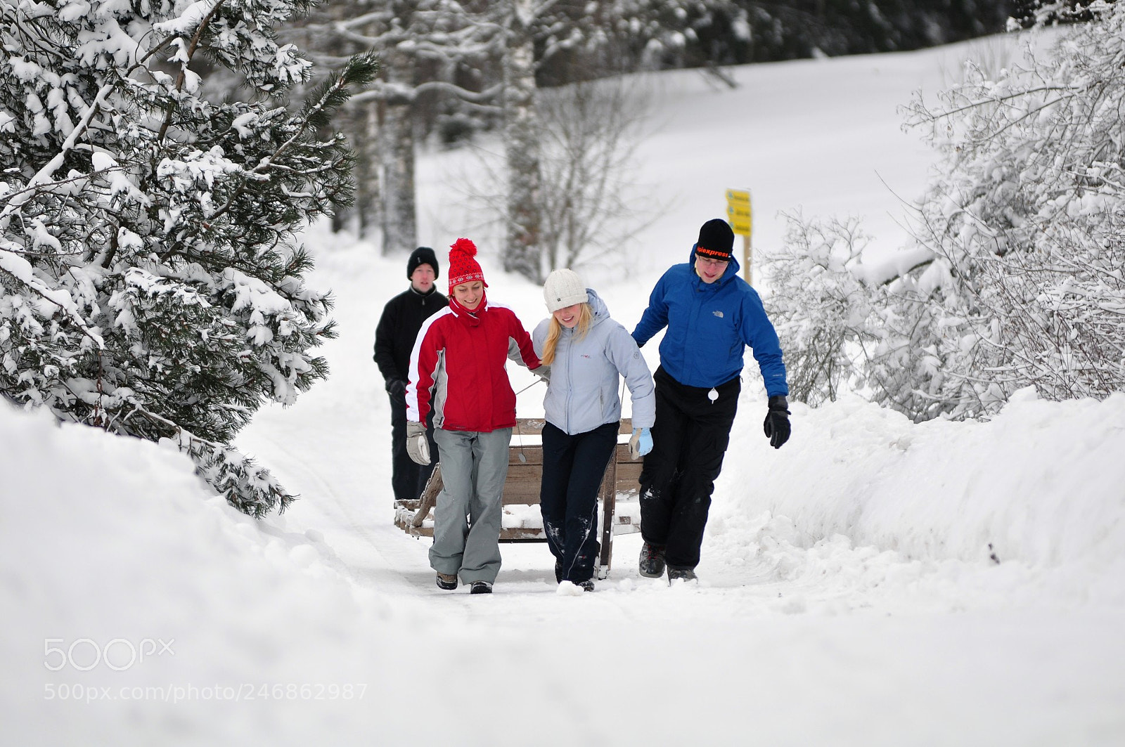 Nikon D90 sample photo. Dragging the sled photography