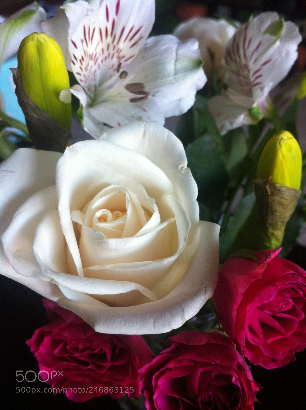 Apple iPhone 4 sample photo. A bouquet of mixed photography