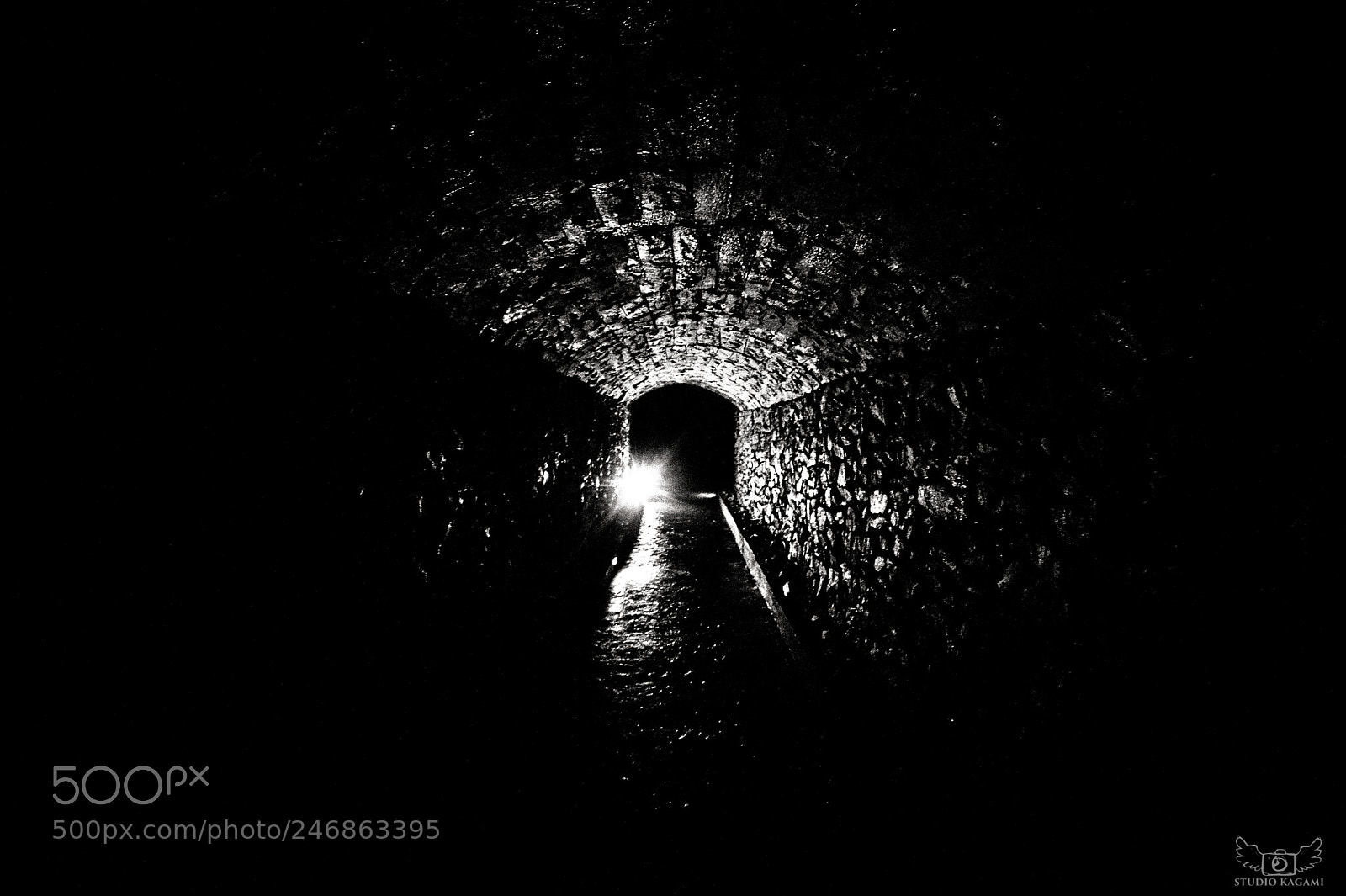 Nikon D700 sample photo. Bear cave photography