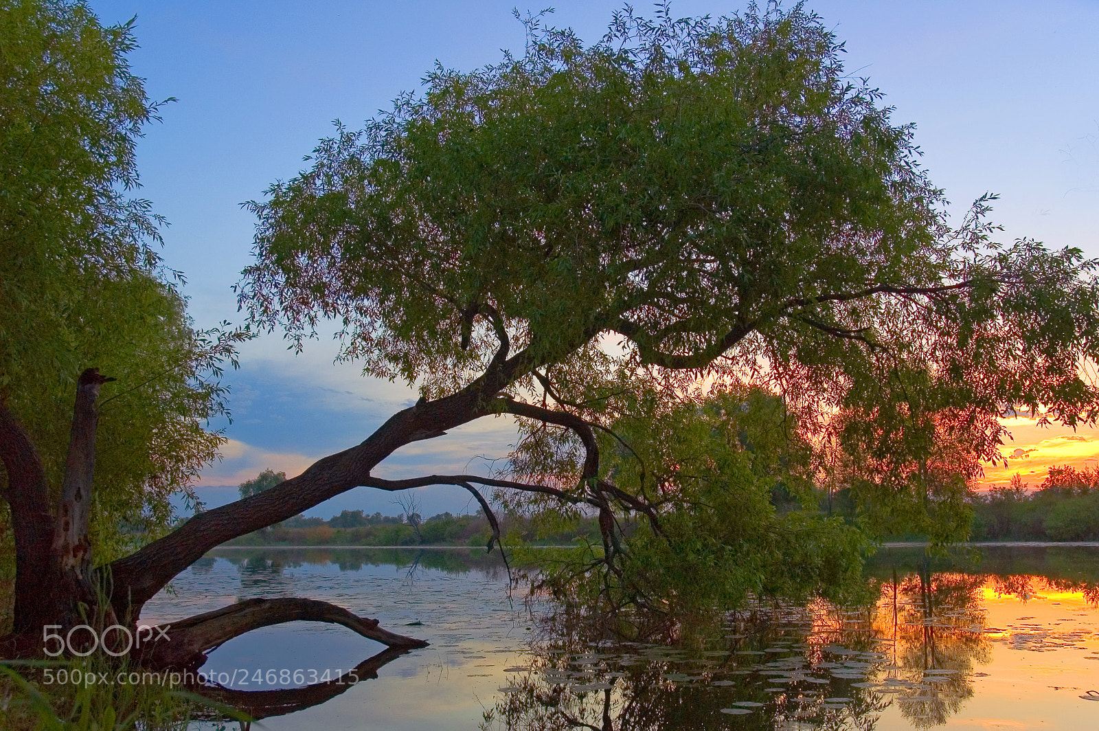 Nikon D70 sample photo. Conversation with the river photography
