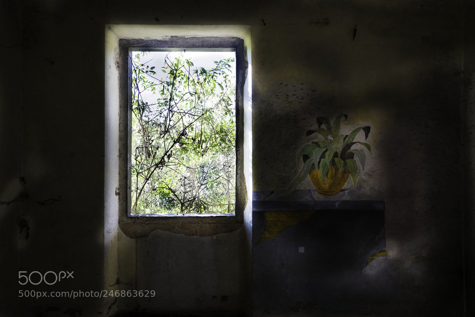 Sony a7 II sample photo. Cascine tavola finestra con photography