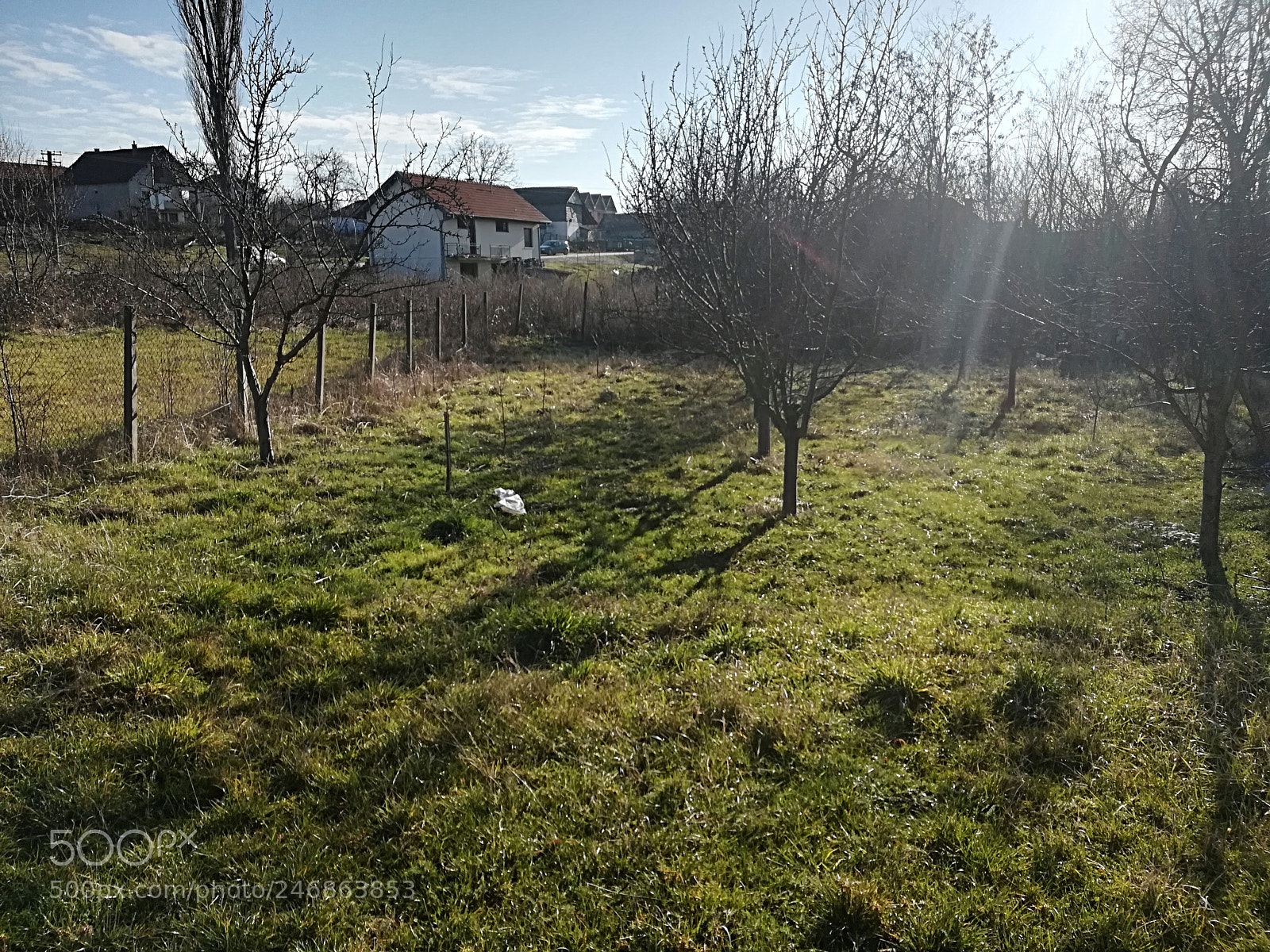 HUAWEI P10 lite sample photo. Untitled photography